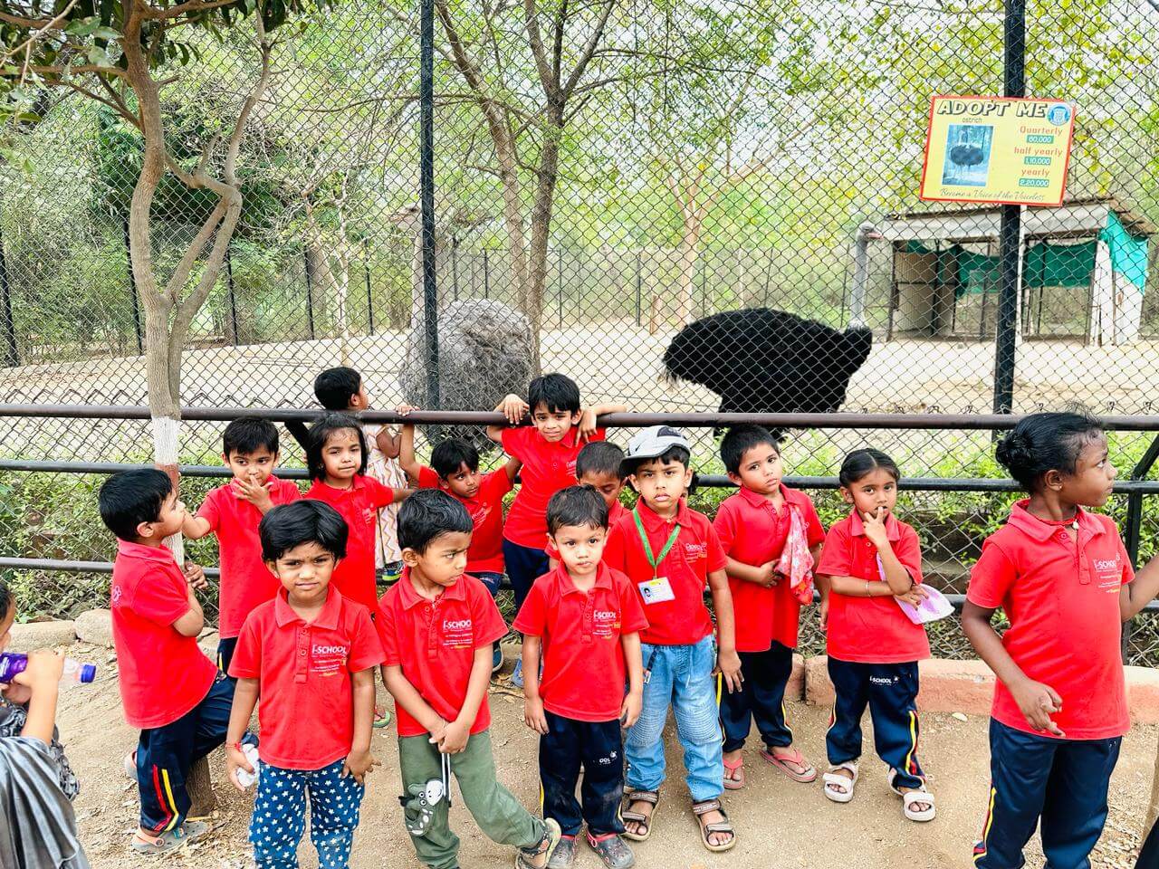 Play School Deshaipet Road Warangal-Telangana